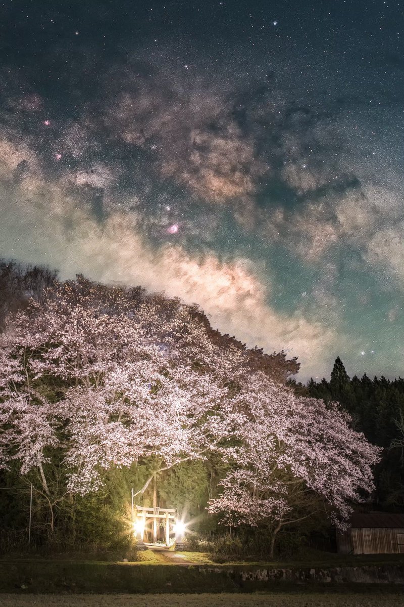 桜咲く春の神社にかかる天の川。