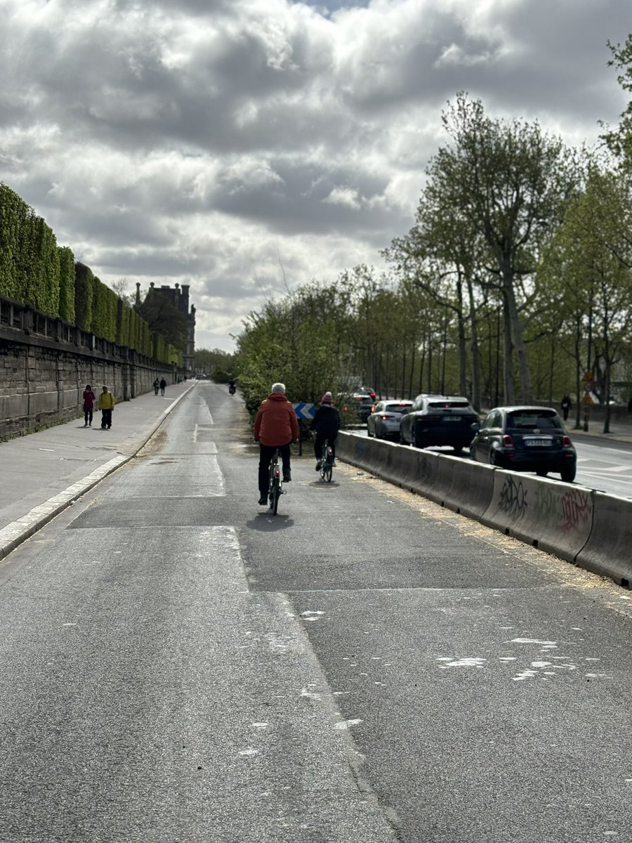 KPanaretto's tweet photo. @brisbanecityqld @space4cyclingbn @ryansrumblings Paris has transformed - why do we not want a city less reliant on cars? Can we not imagine a greener cleaner inclusive city in 10 years time? Politicians you need to lead the way https://t.co/P1xTTT7604