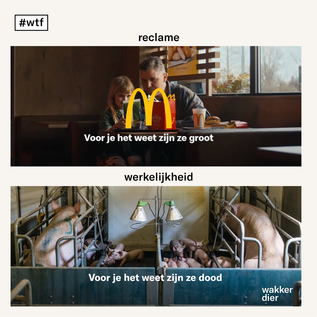 McDonald's trekt alles uit de kast om ervoor te zorgen dat jij geen vieze bijsmaak krijgt van die happen #dierenleed. Want varkensleed en plofkip in een krokant jasje is natuurlijk niet zo’n lekker verhaal. Gelukkig zijn wij er, om de werkelijkheid te onthullen. <a href="/McDonalds/">McDonald's</a>