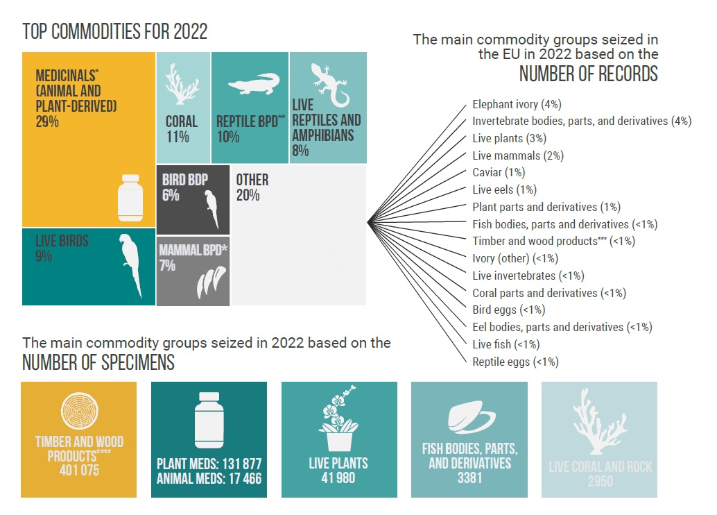 The #EU is a hub for illegal trade in protected wild species, new @TRAFFIC_WLTrade report finds loom.ly/bPEU6fM #illegallogging #illegalwildlifetrade