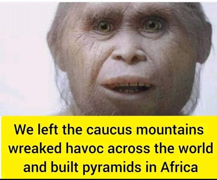 DisekoRefe40281's tweet photo. @TyphoonChicken @DebraBe16141698 How is straigting our hair cultural appropriation? Wigs I understand but this? Anyway stfu because we will continue to straighten our hair bozo. Your opinion will stay on Twitter punk. https://t.co/Gt2tEshRdu