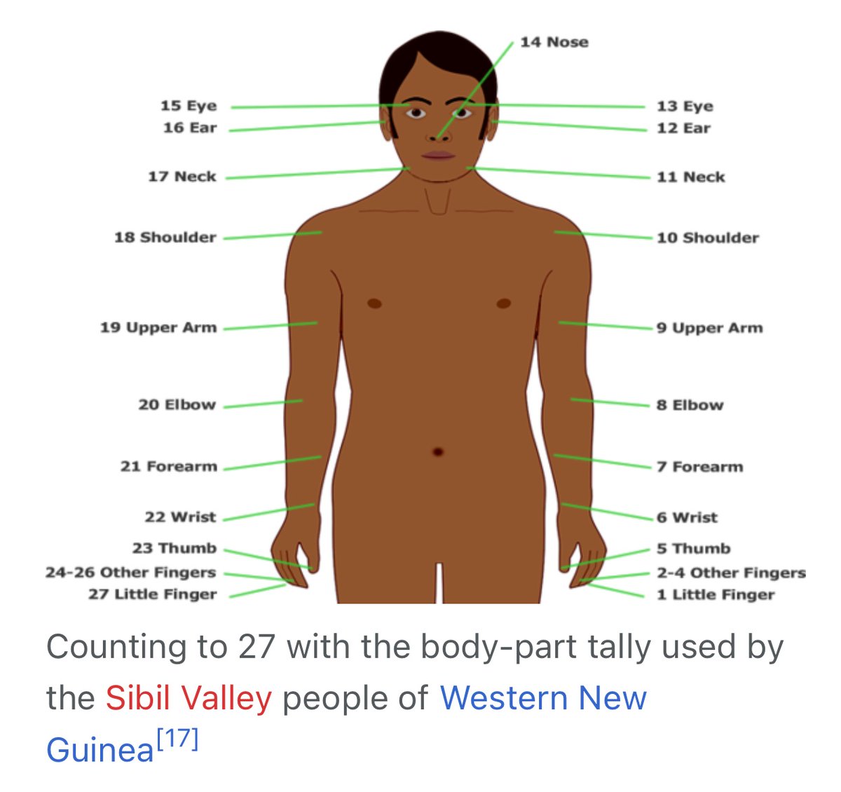 'In languages of New Guinea and Australia, such as the Telefol language of Papua New Guinea, body counting is used, to give higher base counting systems, up to base-27.'