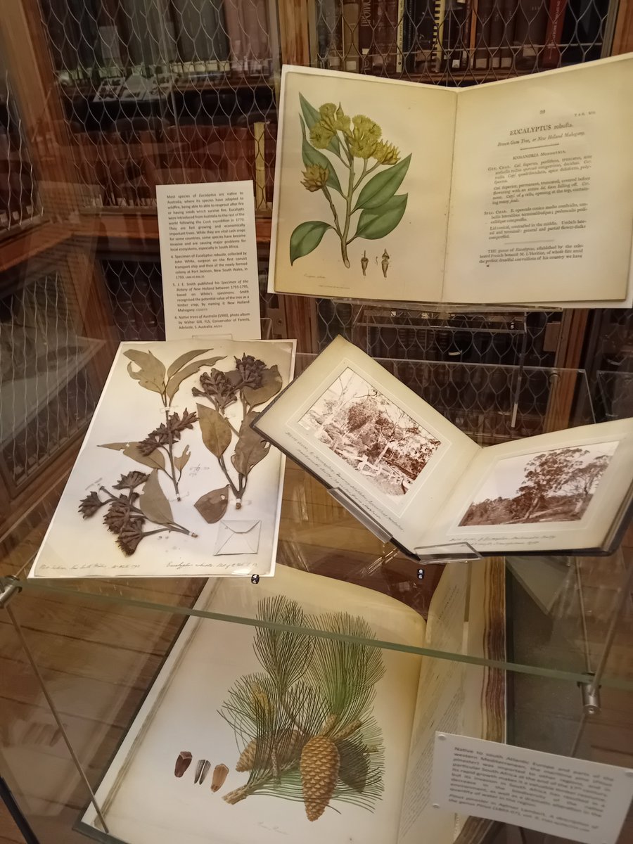 LILA group visit yesterday to @LinneanSociety for a tour by @WillBeharrell which included the exhibition Lovely as A Tree: