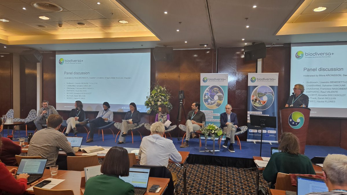 BiodiversaPlus's tweet photo. Panel with #BioBoost+, #CAMBioMed, #DNASense, #EMPHATIC, #MOOBYF, #NorTrack, and #WOBEC.
Discussions about data management and accessibility, eDNA quality, and more!
Join the conversation:
👉 https://t.co/cBQTLcsbgW
#BiodivMonTallinn https://t.co/zUQKonSB5D