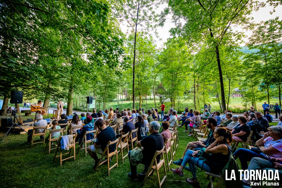 Festival Microclima tweet media
