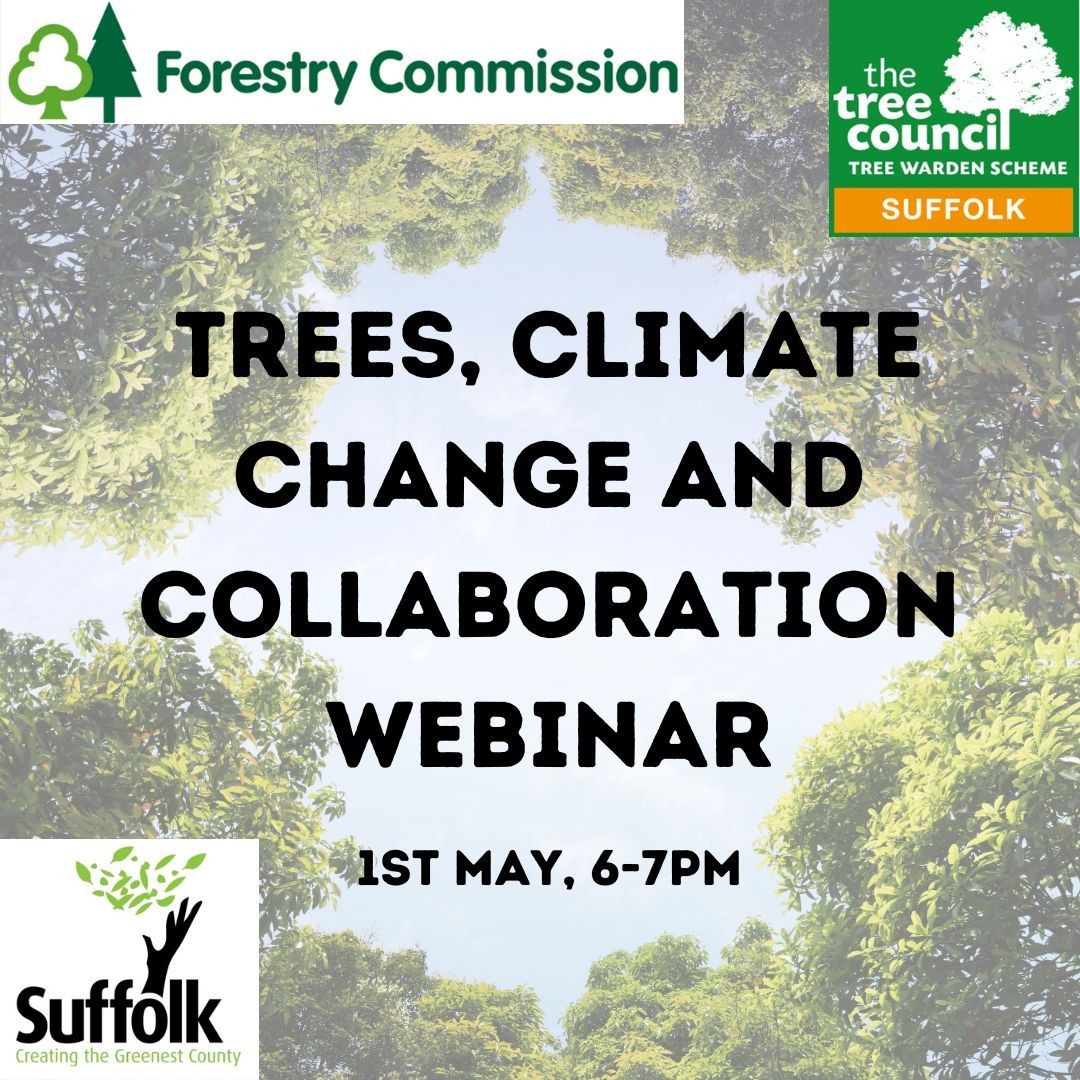 Suffolk Climate Change Partnership have teamed up with the Forestry Commission for an exciting webinar. Trees are our strongest allies facing the crises of global warming and biodiversity loss; this webinar will explore what we can do in Suffolk. Sign up buff.ly/43WepTo