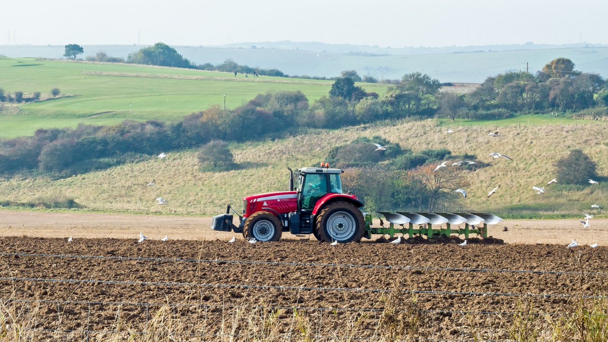 Did you watch our webinar for upland farmers? If not, you can watch it using the link below ⬇️ We covered #SFI, Countryside Stewardship, and heard from Daniel who is a sheep farmer and SFI agreement holder. Find out more: defrafarming.blog.gov.uk/2024/04/12/upl…