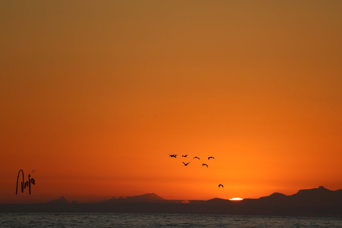 We had so much fun on the beach last night. Expect lots more 'sunnyset' photos! #photography #nature #beach #sunset #ocean #sky #peaceful #birds #goedemorgen #Goukamma #WesternCape #SouthAfrica