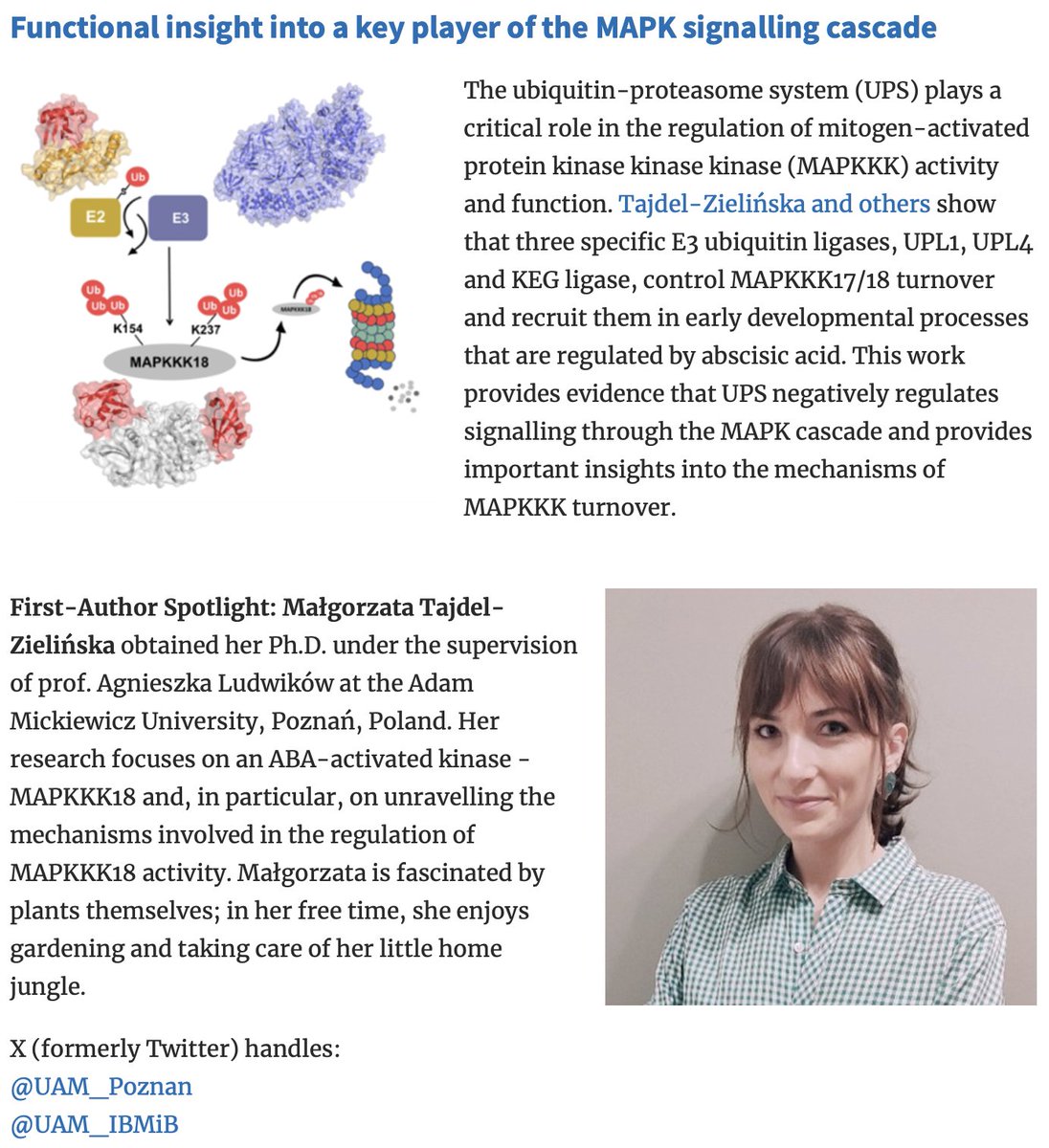 📗From PCP Latest Issue (65-3): Research Highlight Featuring First Author: Małgorzata Tajdel-Zielińska💐 academic.oup.com/pcp/pages/rese… Functional insight into a key player of the MAPK signalling cascade doi.org/10.1093/pcp/pc…