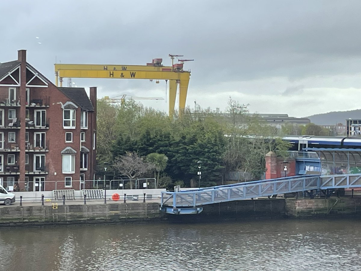 View from @btog #BTOG24 conference @BelfastICC of iconic Samson and Goliath cranes @irwinmitchell