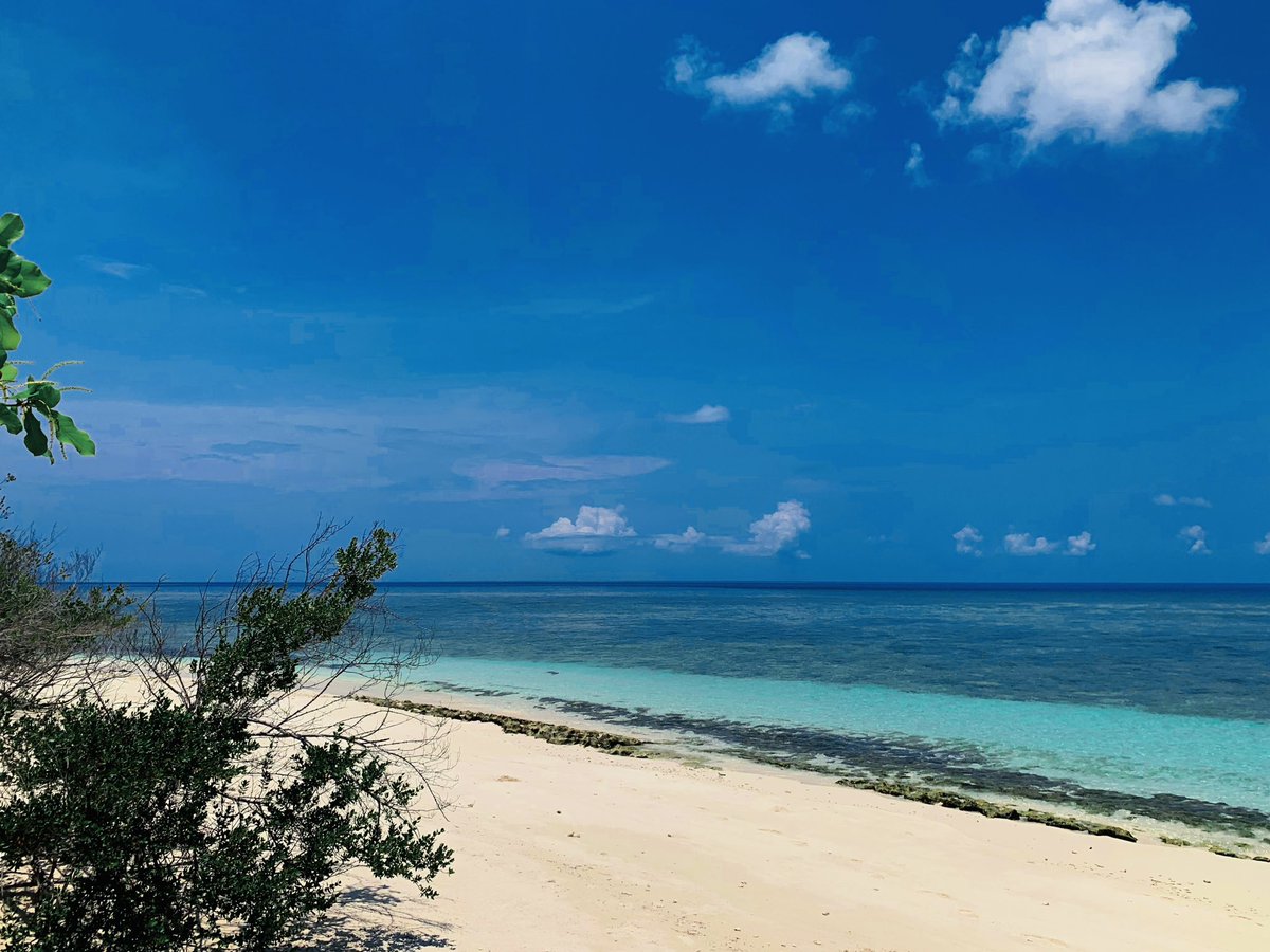 “The most beautiful moments always seem to pass by quickly, but the memories last a lifetime..' 💗
.
.
 #sunnysideoflife #tourism #hospitality #nature #amazing  #holiday #WorldsLeadingDestination #vacation #discover #adventure #visitfodhdhoo #maldives #fodhdhoo #visitmaldives 🌴