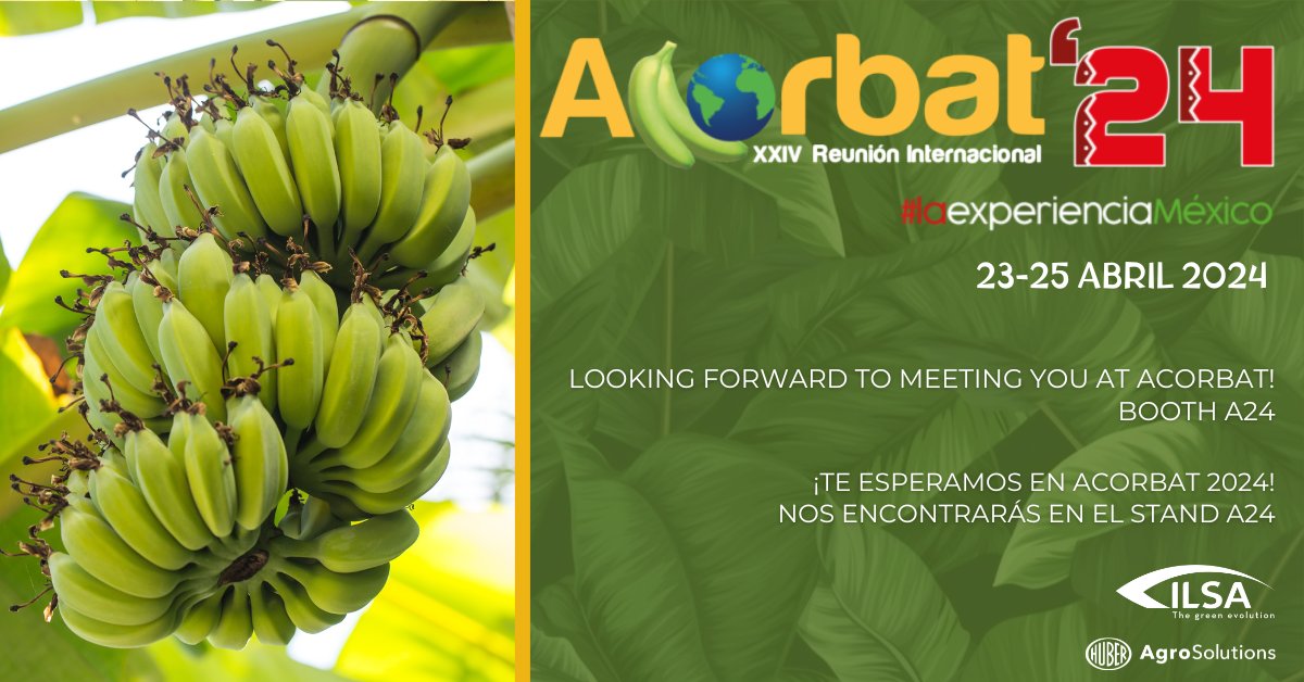 ILSA_pr's tweet photo. #ILSA is attending @Acorbat2 Mérida/Mexico 23-25April with the most innovative solutions to 𝐢𝐧𝐜𝐫𝐞𝐚𝐬𝐞 𝐭𝐡𝐞 𝐲𝐢𝐞𝐥𝐝 𝐚𝐧𝐝 𝐪𝐮𝐚𝐥𝐢𝐭𝐲 𝐨𝐟 𝐛𝐨𝐭𝐡 𝐨𝐫𝐠𝐚𝐧𝐢𝐜 𝐚𝐧𝐝 𝐜𝐨𝐧𝐯𝐞𝐧𝐭𝐢𝐨𝐧𝐚𝐥 #𝐛𝐚𝐧𝐚𝐧𝐚 𝐜𝐫𝐨𝐩𝐬

𝐛𝐨𝐨𝐭𝐡 𝐀𝟐𝟒 https://t.co/XdKdcEDO3i