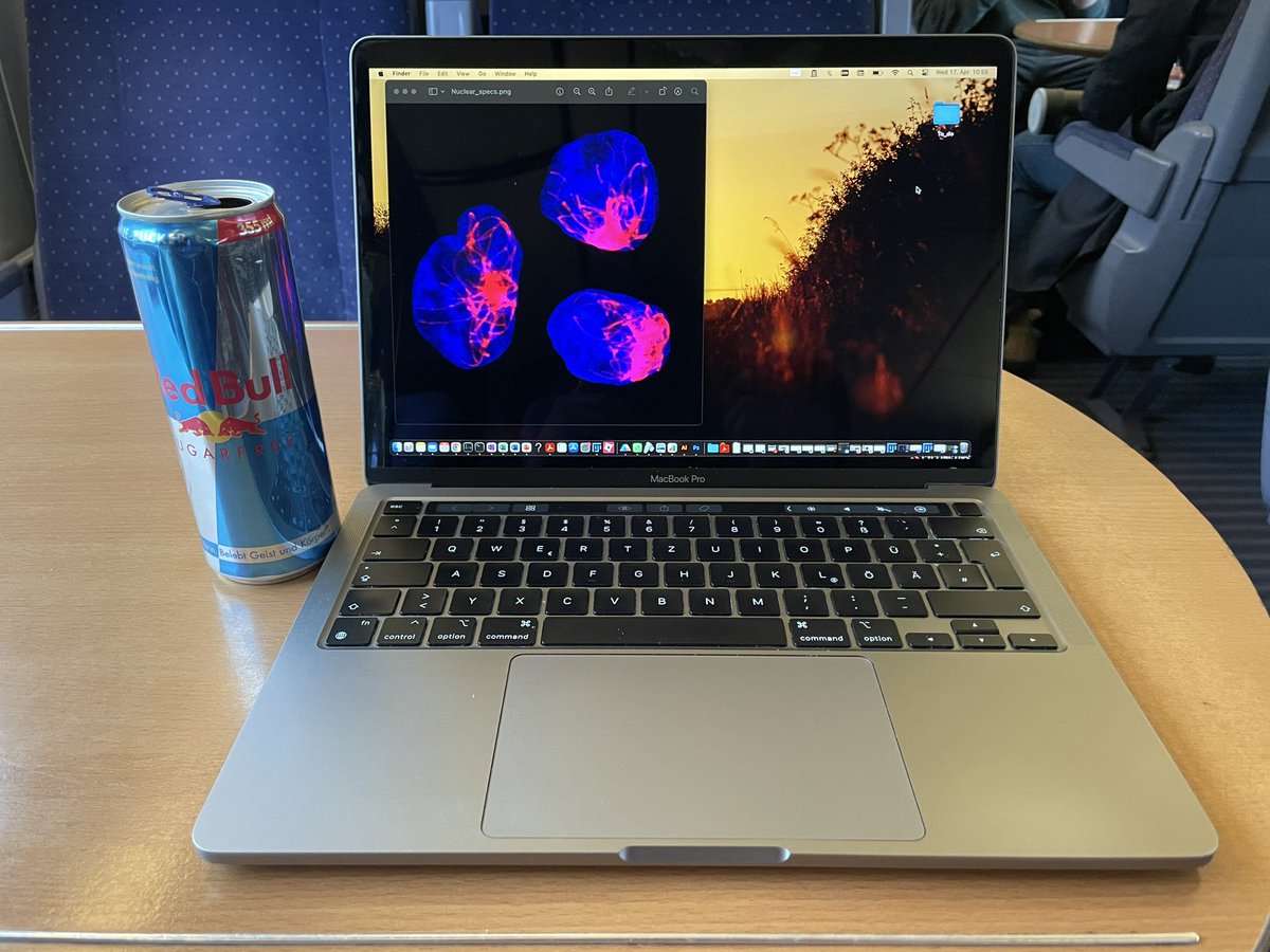 On our way to #TOLL2024, super excited about next 4 days of everything #innate_immunity and #celldeath. Talk to me if you want know more about using #optogenetics to kill your cells, or about fantastic nuclear #inflammasomes and where to find them