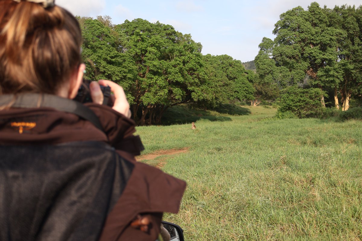 Over the next few days, we'll be sharing more about our Monitoring and Volunteer Project on @ManyoniReserve. With over 70 Mammal species and an exceptional diversity of birdlife, Manyoni is the ideal setting for first-time visitors to experience the beauty of the African bush.