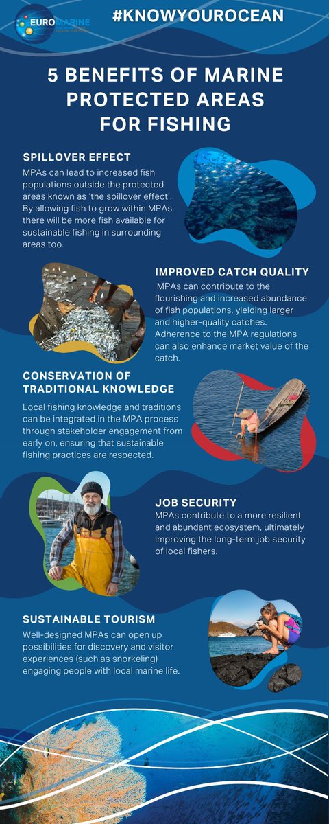Euromarine_tw's tweet photo. #OceanLiteracy🚢Well-designed Marine Protected Areas #MPAs have the potential to increase abundance and diversity of marine life, enhance ecosystem resilience &amp; elevate the overall productivity of local fisheries. We've summarised 5 key benefits of MPAs below 👇
#MissionOcean https://t.co/6YKdN5lXtR