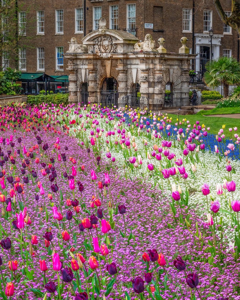 Add this spot to your London must-visit list✨ 📍York Watergate: Victory Embankment Garden [📸 @derrickphotos_] #LetsDoLondon #VisitLondon ow.ly/zSYv50Rh5Li