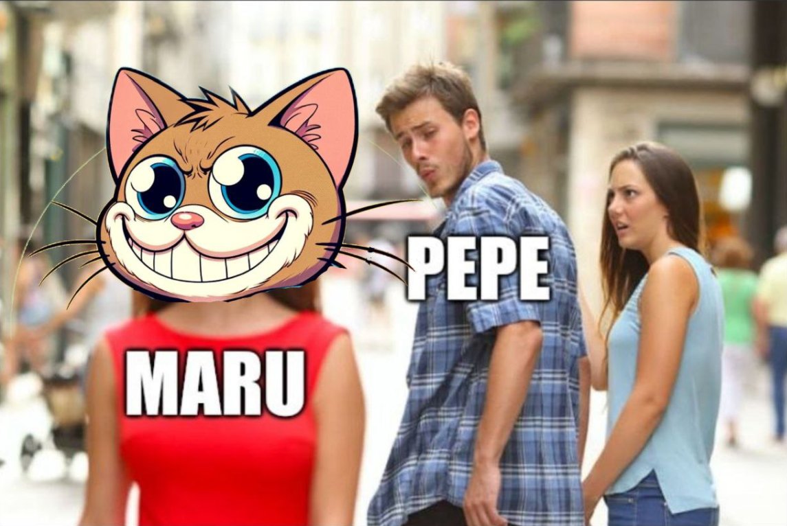 $MARU THE CAT | PEPE's friend 🐸 (@marudegencat) on Twitter photo 2024-04-17 09:04:38