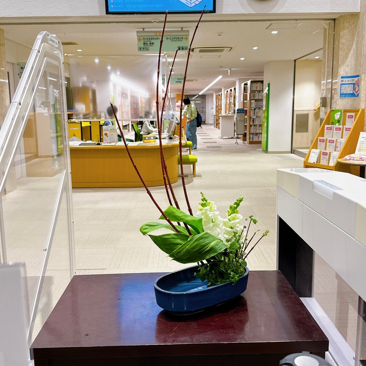 shimadaikado's tweet photo. 図書館に展示中です
是非ご覧下さい🌸 https://t.co/eiqQRr3pf5