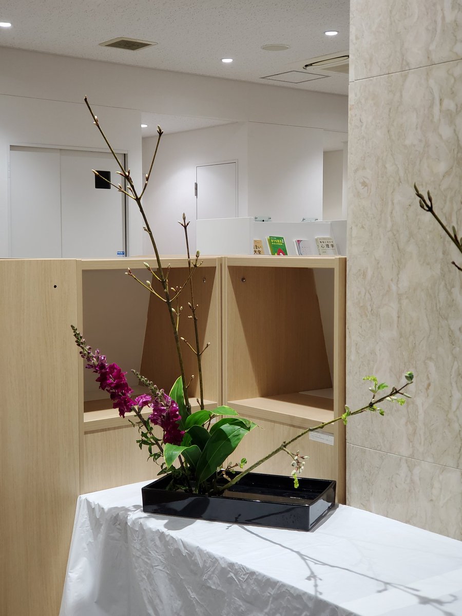 shimadaikado's tweet photo. 図書館に展示中です
是非ご覧下さい🌸 https://t.co/eiqQRr3pf5