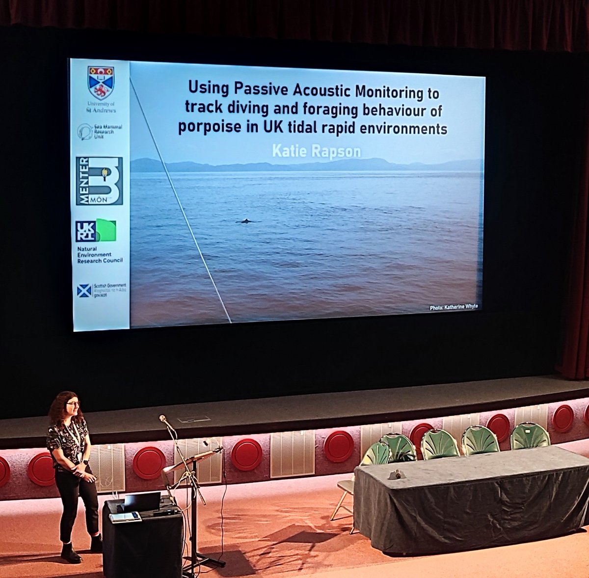 Day 2 at @eimr2024 and our @katie_rapson_ doing a fantastic job talking about #porpoise behaviour and depth distribution in tidal environments