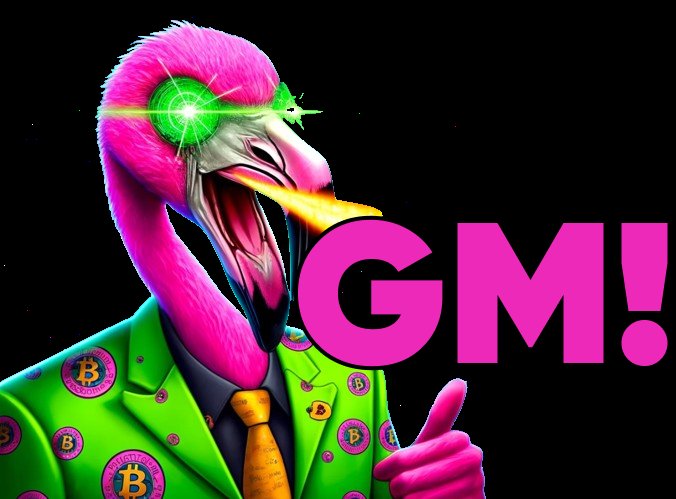 Pinky - Meme NFT on Sonic 🚀🚀🚀 tweet media