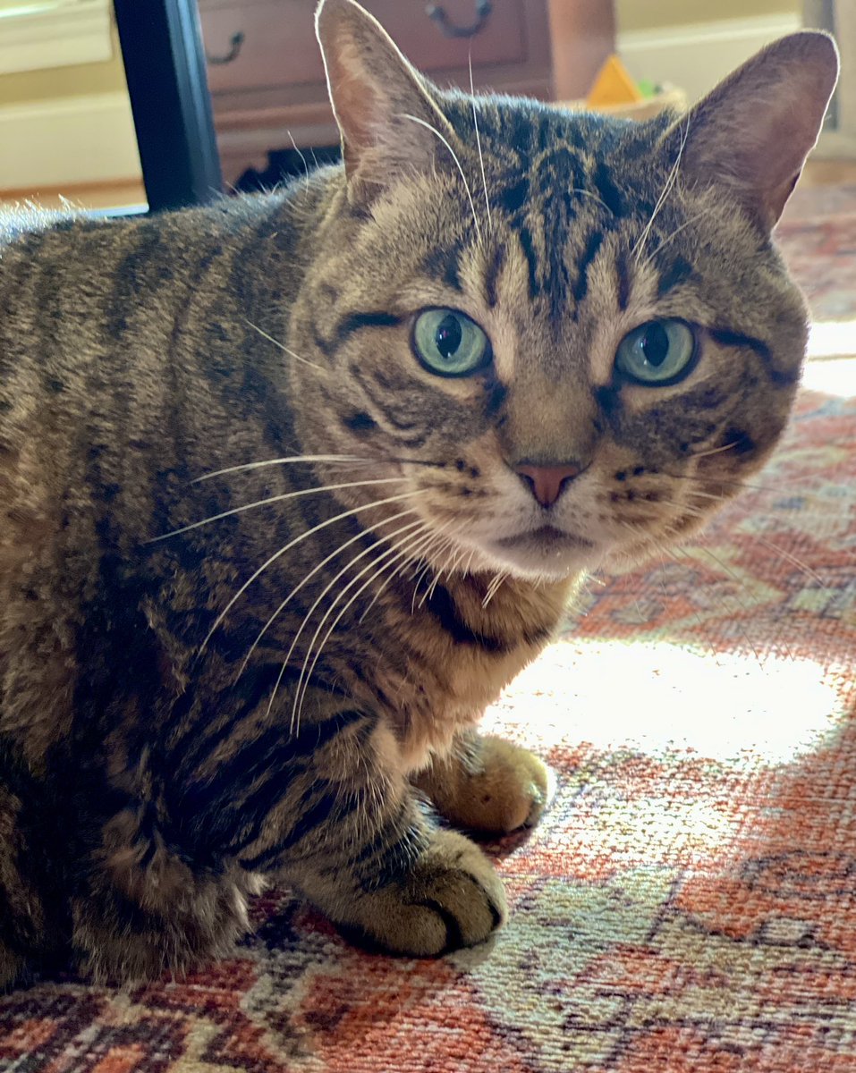 For the love of Missy. tweet media