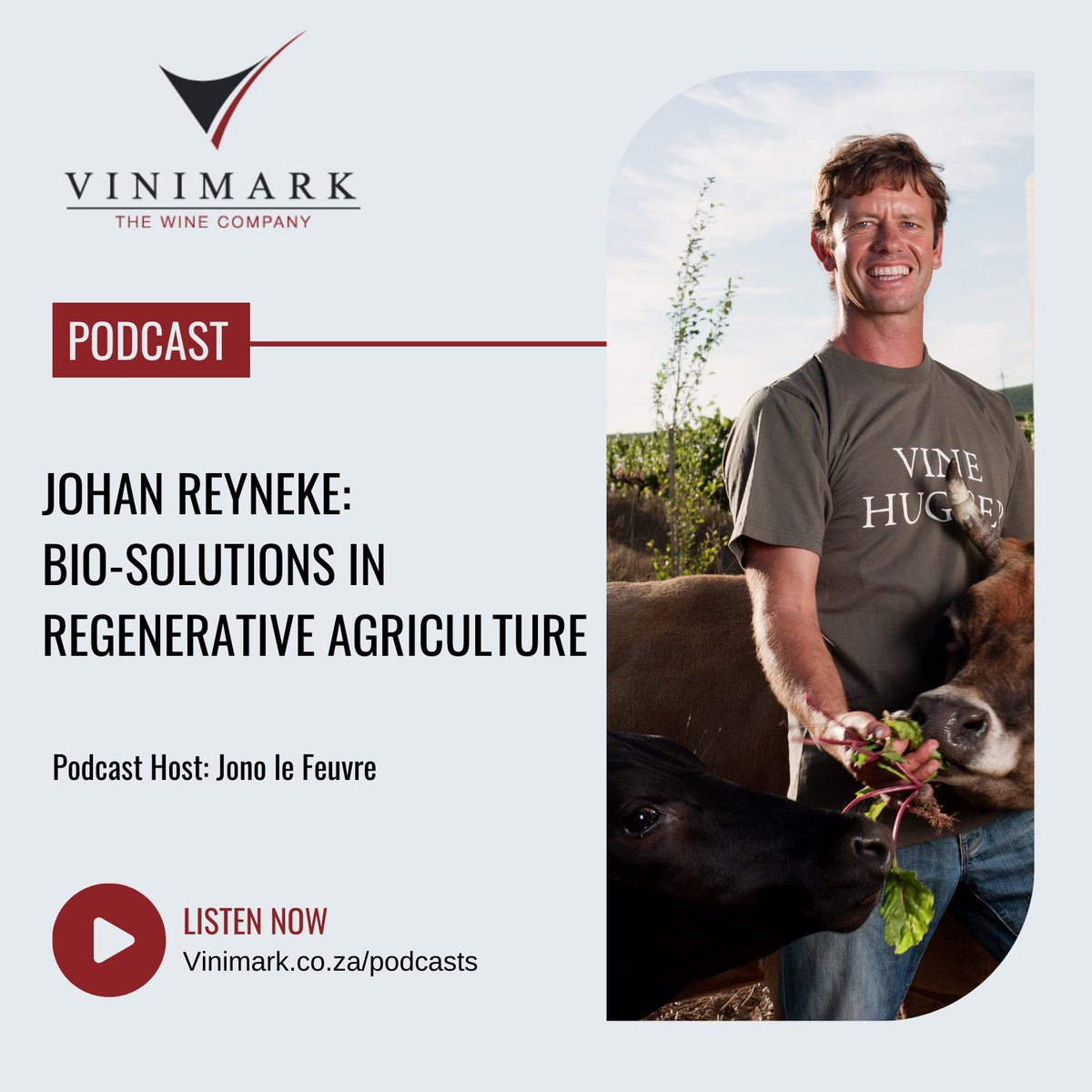 ReynekeWines's tweet photo. As a pioneer in biodynamic viticulture in South Africa, listen to #JohanReyneke chat bio-solutions in regenerative agriculture with @JonoLeFeuvre in the latest episode of The Vinimark Podcast.

https://t.co/nDy8qzVWLw

#ReynekeWines @VinimarkWine https://t.co/0thJgJ50Tx