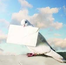 من أنت لتقتنع بفعالية الضربة الإيرانية للصهاينة؟ ما هو وزنك؟ على ماذا تؤثر؟ من يسمع صوتك؟ من يأخذ برأيك ؟ ماذا يغيِّر إقتناعك بها من عدمه؟ أنت لست سوى ريشة سقطت من حمامٍ زاجلٍ واشٍ يطير بين السفارات .