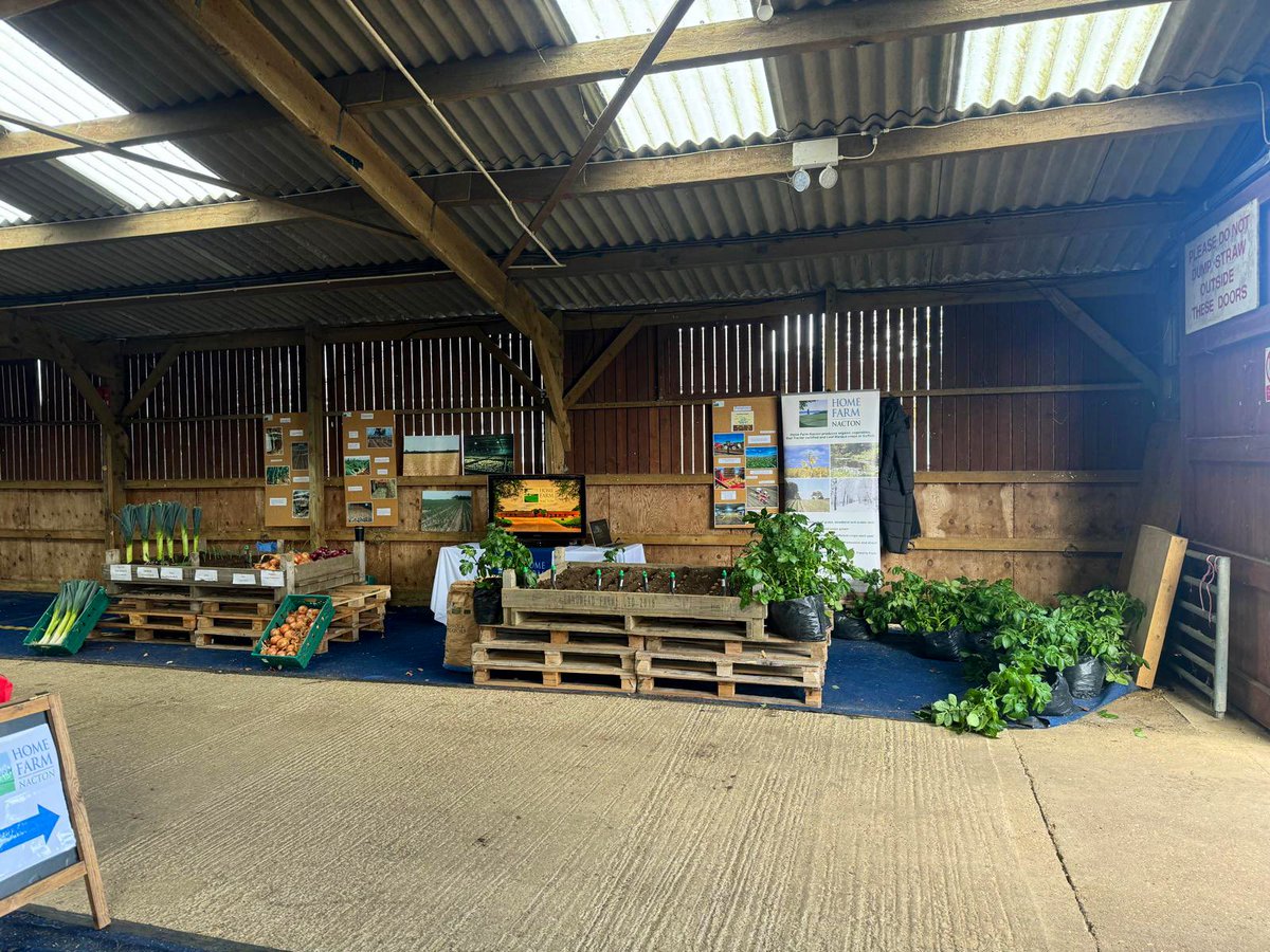 We are all set up at the Suffolk School Farm and Country Fair to teach all things field to fork! 🚜🧅🥔🥦 <a href="/SuffolkAg/">The SAA</a> <a href="/TrinityParkUK/">Trinity Park</a>