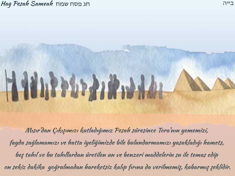 “Yedi gün boyunca matsa yiyin. Ancak ilk gün öncesinde mayayı evlerinizden tamamen kaldırmış olmalısınız. Yedi gün boyunca evlerinizde kesinlikle maya bulunmamalıdır.”(Şemot 12: 15-20)
Özgürlük Zamanımız Pesah bu yıl 22 Nisan Pazartesi akşamüstü başlayıp, 30 Nisan Salı akşamı