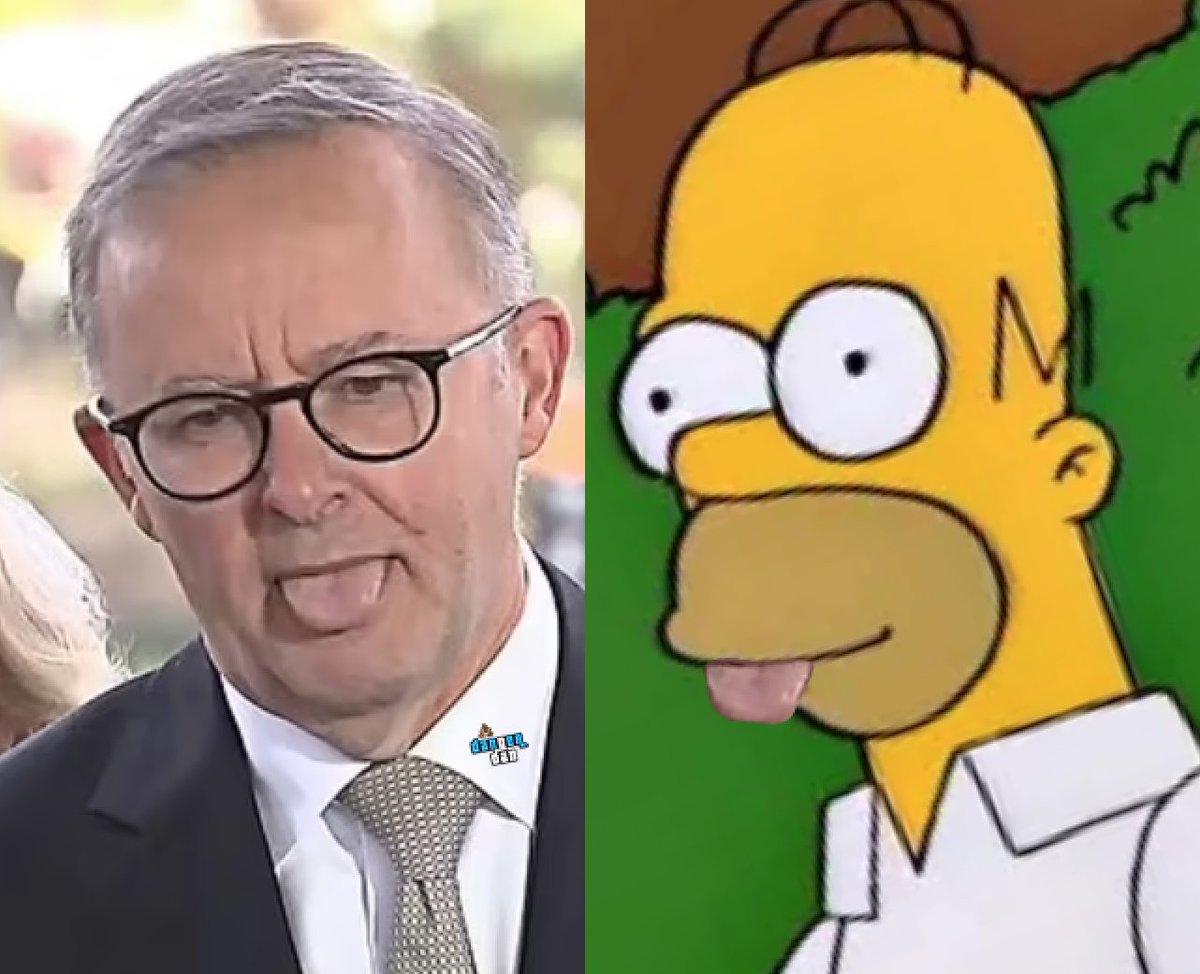 I can painfully remember just before the election how many basic stuff ups Mr. Magoo made in his daily pressers. It was cringe. Yet the melon headed comb-over was voted in on an anti ScoMo hate vote. Fair enough. I held my breath hoping he would be at least competent. How wrong I…
