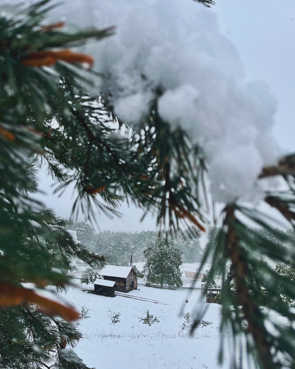SliskovicGoran's tweet photo. Iz ljetnih vrucina u pravu zimu ❄️☃️❄️☃️ https://t.co/kJGA2kGa8j