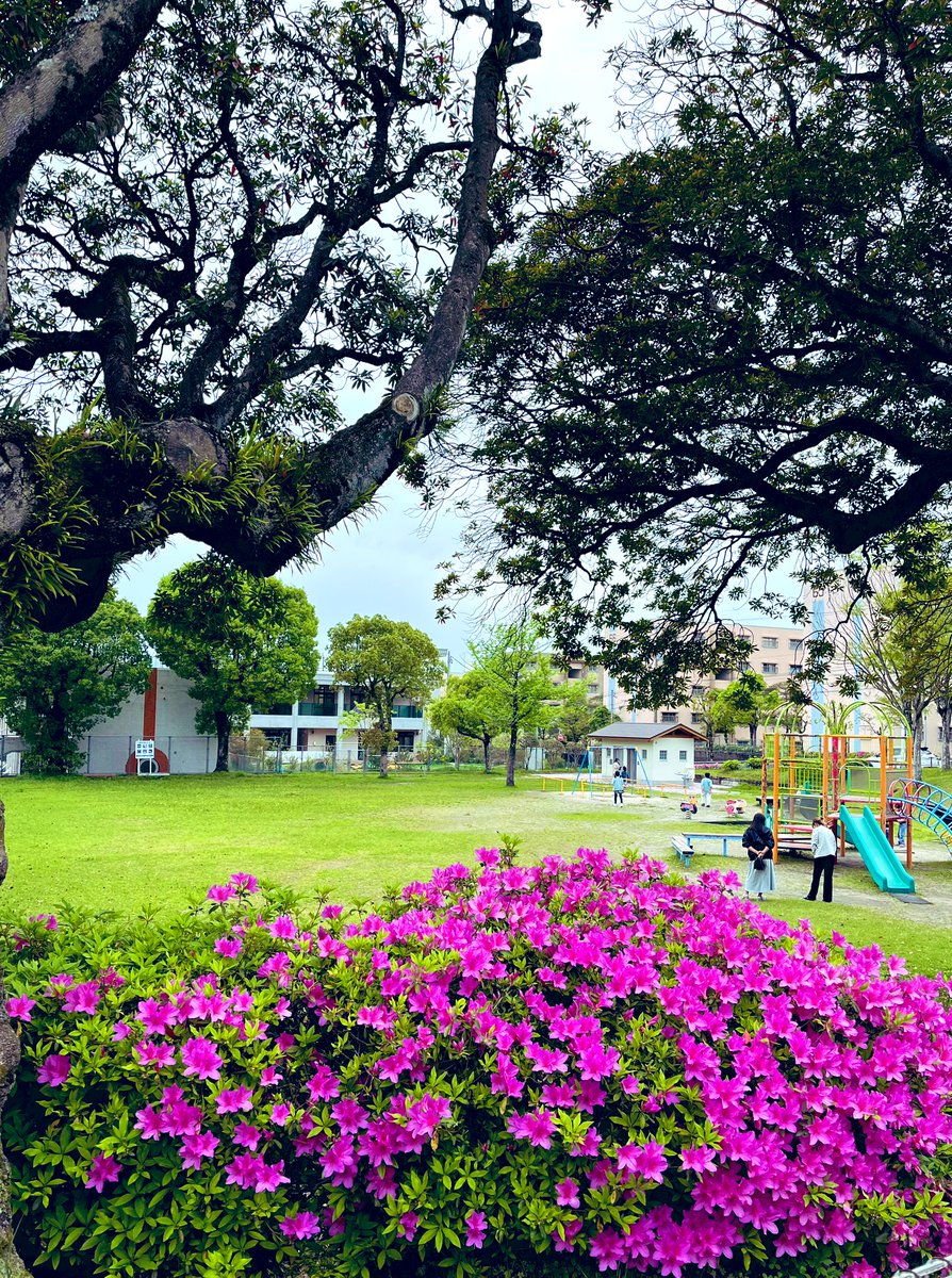 人もまばらな 　夕方の公園🛝 曇り空🌥️なので 今日の1枚は 　こんなものでした；； 穏やかな夜に 　なりますように🌃 　　ﾏﾀｱｼﾀﾃﾞｽ( ᴗ͈ˬᴗ͈)◞❤︎*˚