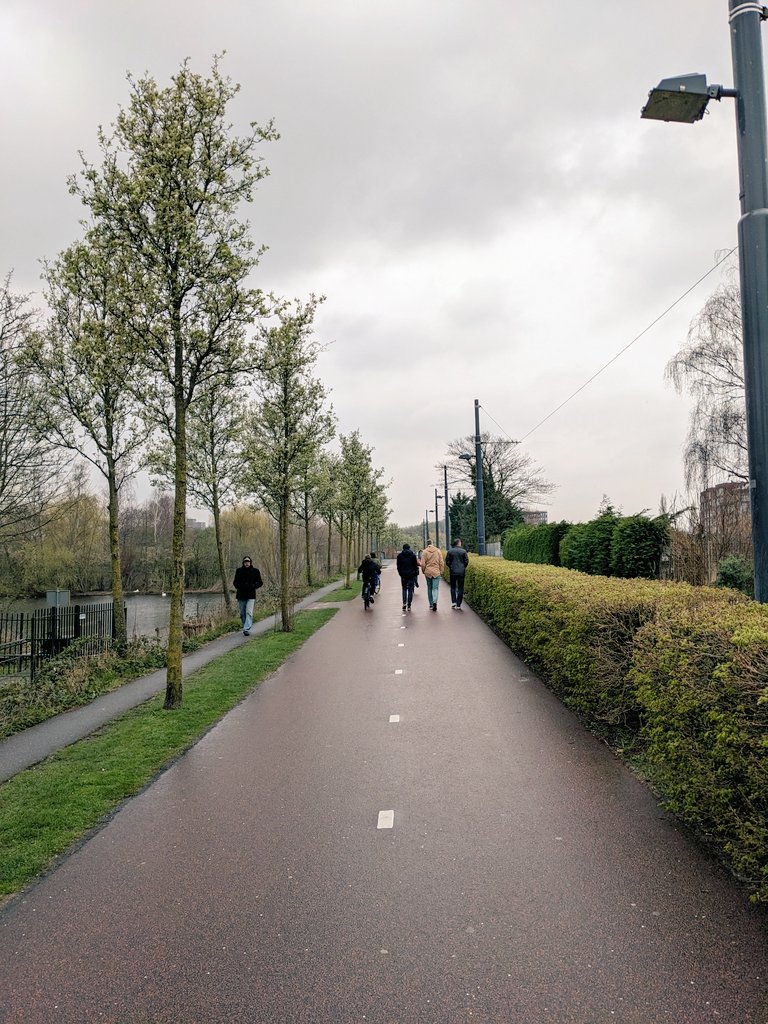 Zweiwege-Radwege in den Niederlanden: Wenn es keinen oder nur einen schmalen Gehweg gibt, kann man als Fußgänger*in problemlos den Radweg nutzen. 🇳🇱❤️🚲&🚶🏼