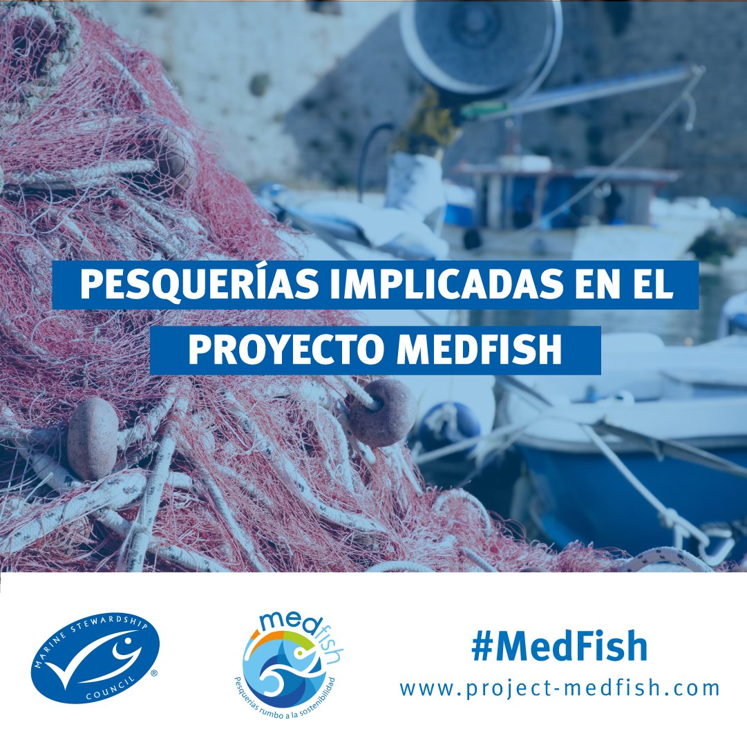 🎣🎣 ¿Conoces cuáles son las pesquerías implicadas en #MedFish España? 
Gracias a la participación de diversos actores, 6 de 10 pesquerías están implementando iniciativas para su mejora ¡Descúbrelas todas aquí! ⤵️  bit.ly/3TJzcVI
#PescaSostenible #Medfish #Medfish4ever