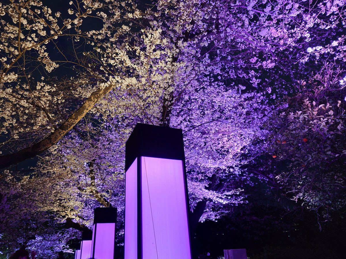 夜桜🌸 #Xperiaで春を撮ろう #だから私はXperia