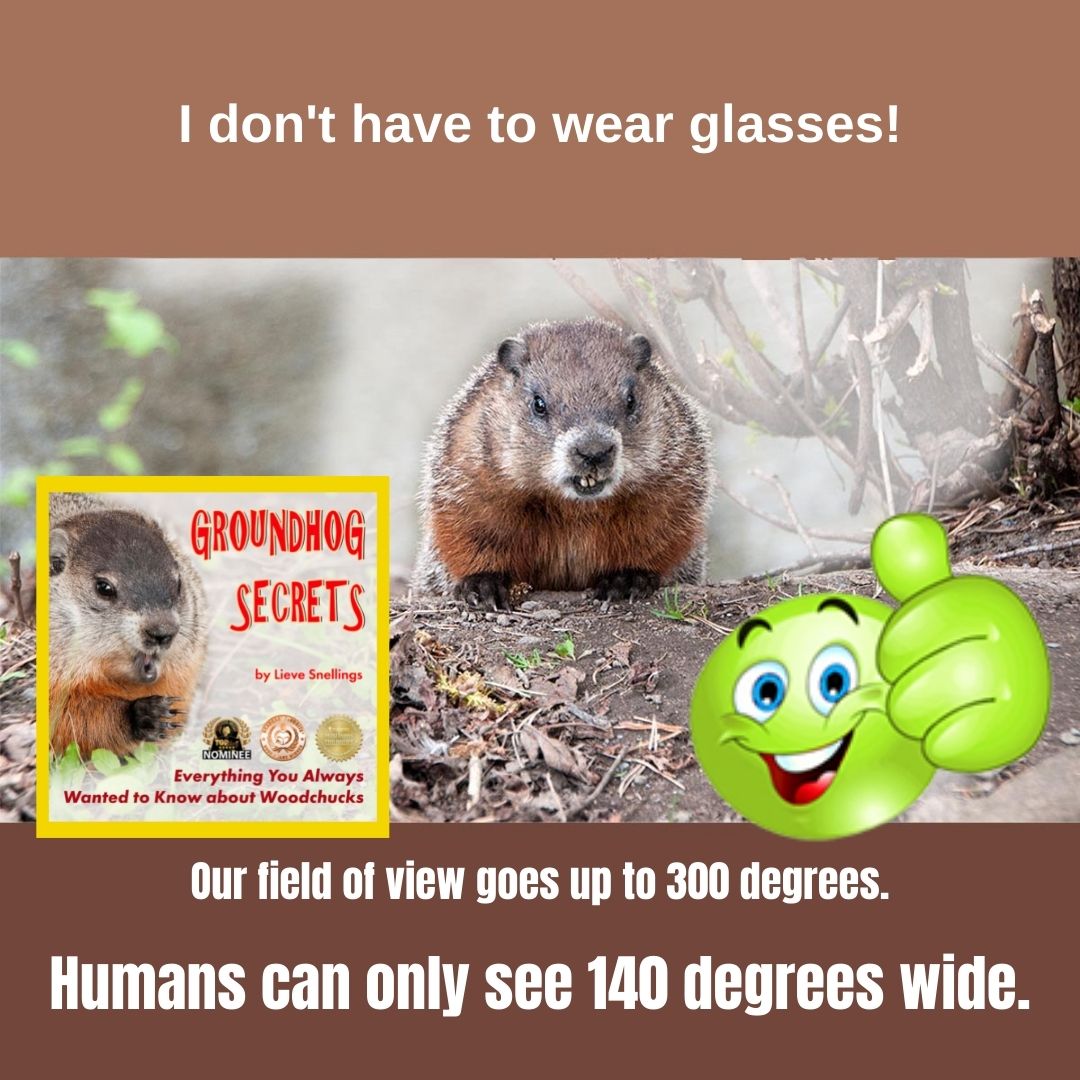 Help! There is a groundhog in our backyard. Is it dangerous? In a joyful way explains Margot, the groundhog, all their secrets. This photo-illustrated book is invaluable for curious kids. mybook.to/EBXF4Sg
#homeschooling #LearningIsFun #Awardwinning #kidsbooks