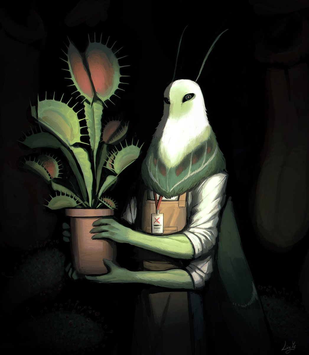 凌夜 Ling Ye tweet media