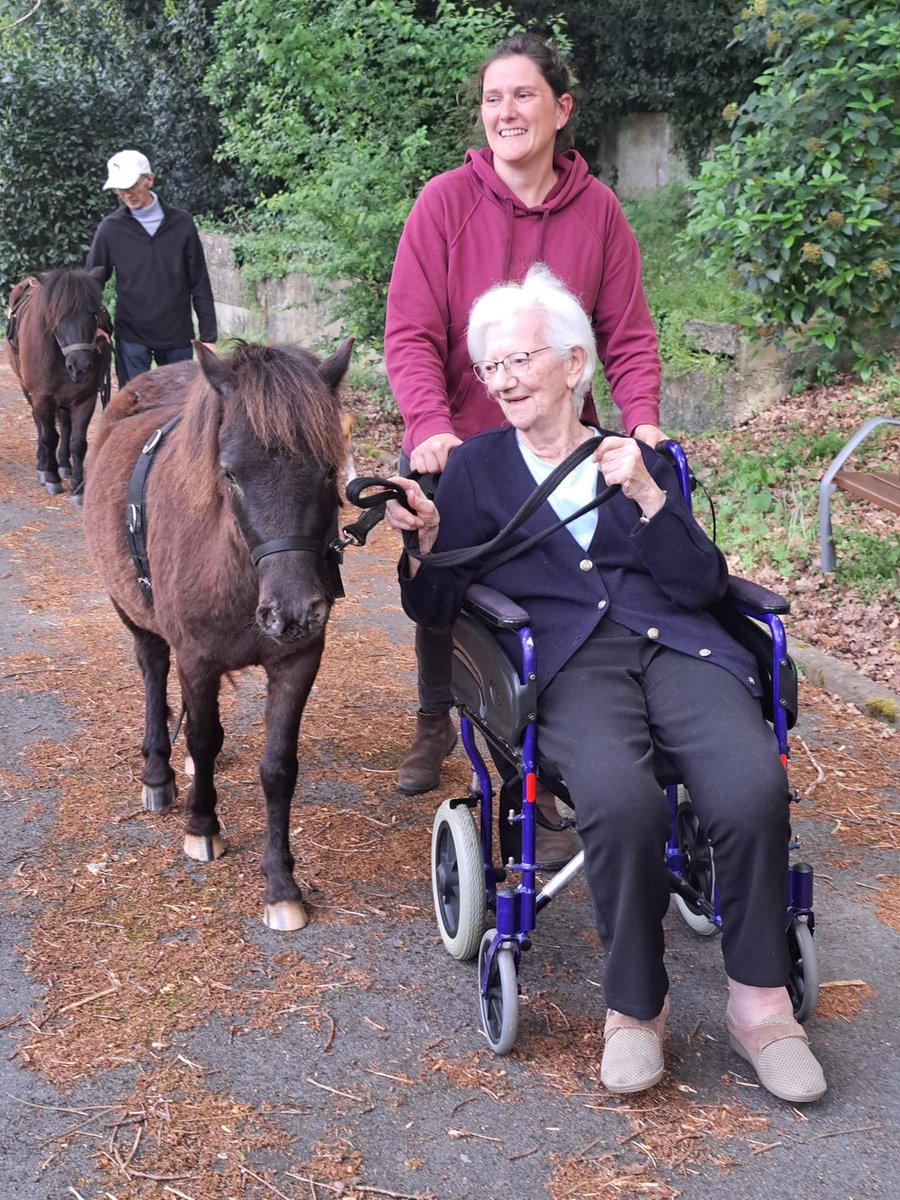 Ce mardi 16 avril, l'EHPAD Larrieu a eu le plaisir d’accueillir deux 🐴poneys Shetland ELSA &amp; COQUIN 🐴venus visité un groupe de résidents. Caresses, brossage et promenades : que de sourires 🙂et d'émotions !
Merci <a href="/FondHopitaux/">Fondation des Hôpitaux</a> de soutenir ce projet ! 
<a href="/ch_d_arcachon/">Centre Hospitalier d'Arcachon</a>
