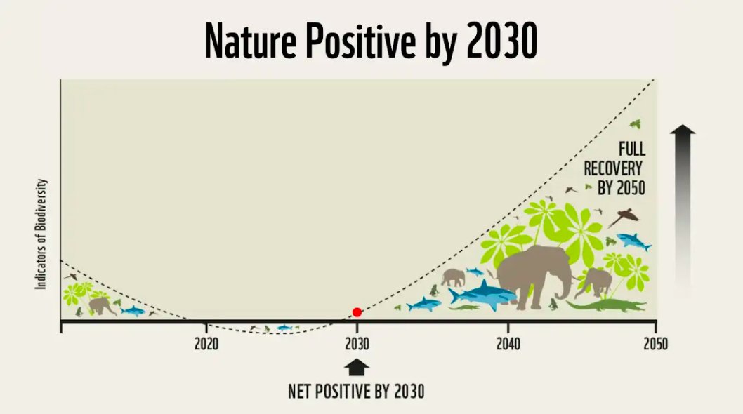 We’re pleased to announce that @Senckenberg is joining the Nature Positive Forum 🙌 to successfully tackle the #ClimateCrisis, reverse nature loss and secure a nature-positive world by 2030.🌍 Find out how you can be part of the journey 👉naturepositive.org