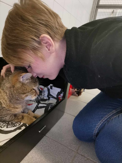 Je commence ma journ&eacute;e d'anniversaire avec mes petits monstres de la SPA puis je vous rejoins pour jouer<a href="/tag/advent"class="tags"><span>#advent</span></a><a href="/tag/adventcalendar"class="tags"><span>#adventcalendar</span></a><a href="/tag/christmas2023"class="tags"><span>#christmas2023</span></a>