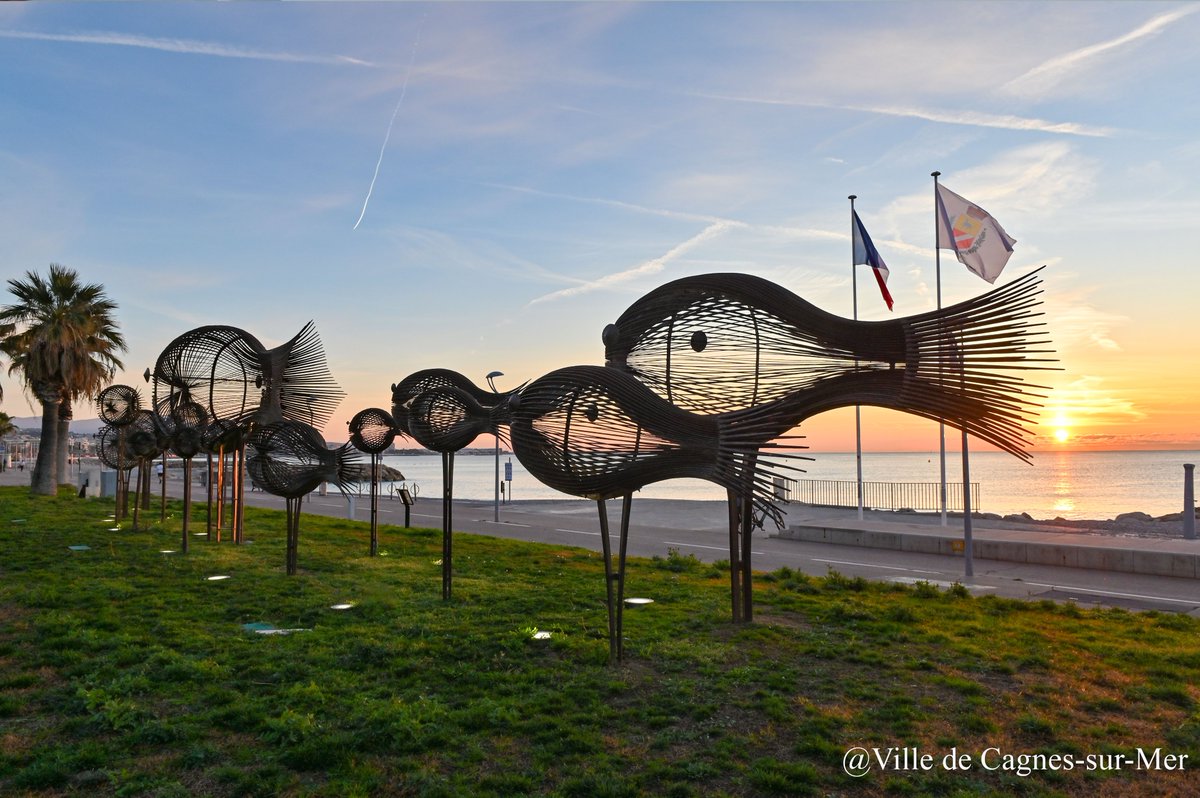 La ville de #cagnessurmer vous souhaite une belle journée ! 🐟☀️

Chaque matin une photo pour découvrir ou redécouvrir les paysages de notre commune ! #hello

📸 Ville de Cagnes-sur-Mer
#nature #goodmorning #spring #pictureoftheday #frenchriviera