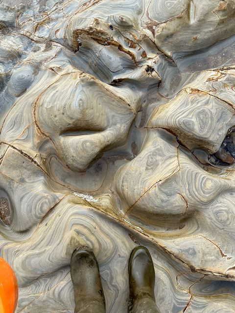 Exploring the wonders of Scarborough's South Bay Beach with Wild Eye 🐚Our latest rock pooling adventure unveiled this breathtaking sandstone😍 Local geologist, Stuart, told us its marbling effect is a result of layers of sandy white mud & muddy grey sand sculpted by the tides🌊