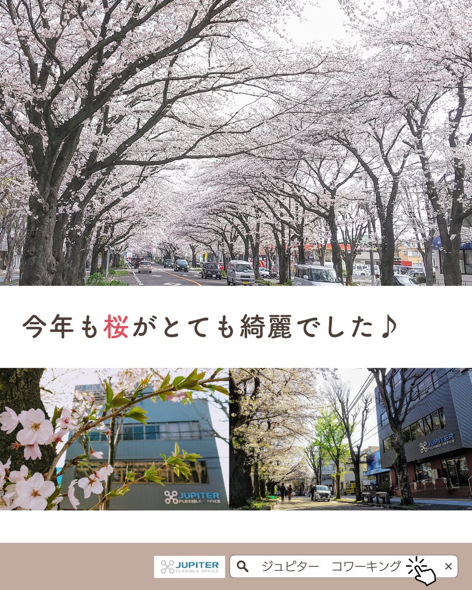 jupiter_office's tweet photo. 🌸🌸🌸

#桜 #相模原 #相模原市 https://t.co/UIdnQc1OaT