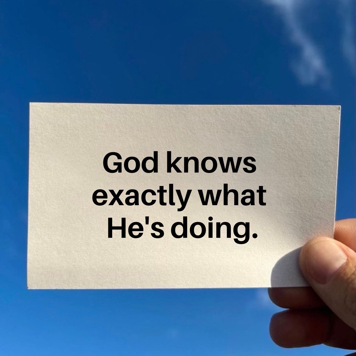 wiseconnector's tweet photo. He knows https://t.co/Z8jl9yLqq9