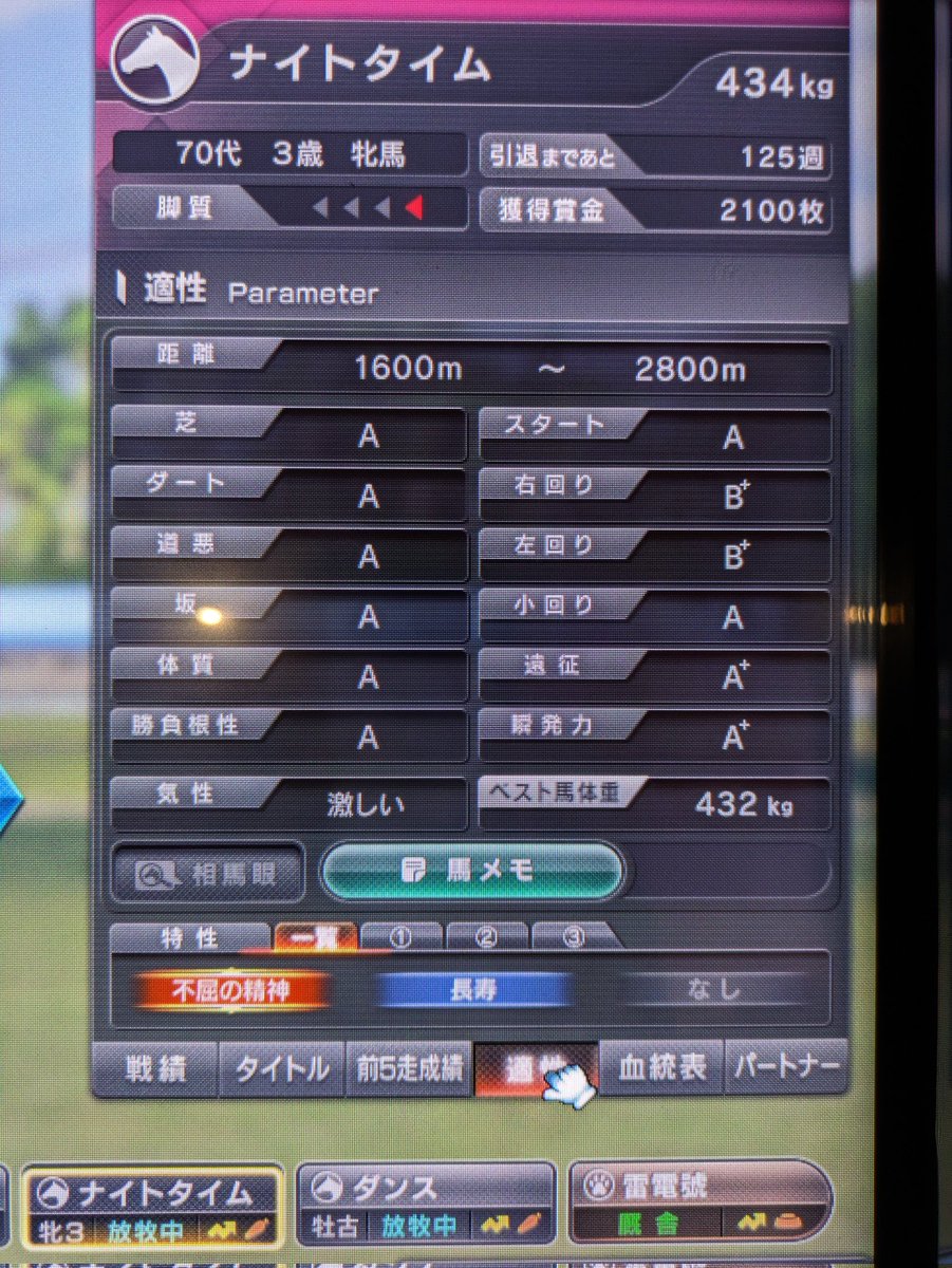 スタホ4にて また生産新演出？ 馬が崖を登り→ 崖の上で親馬と会う