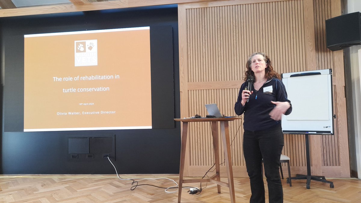 BIAZA's tweet photo. @WildPlanetTrust And now our speed talks:
🐍 Venomous snake longevity by Matt Penny @MyerscoughColl 
🥜 Badger mapping @PaigntonZoo by Meg Hicks-Jones
🦆 Spotted on Site data analysis by Jessica Meadows @WildPlanetTrust
🐢 Turtle rehab by Olivia Walter @WildlifeVetsInt https://t.co/e1kqBMna1M