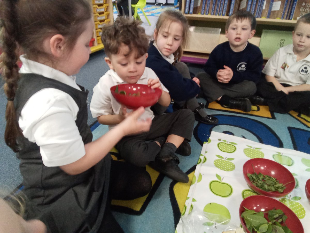 Some interesting faces in our @tastedfeed lesson today. We explored four different herbs and discussed what they reminded us of. Toothpaste was a popular reaction to the mint which we grow in our reception garden! @foodexplorersuk @SchoolsGardens