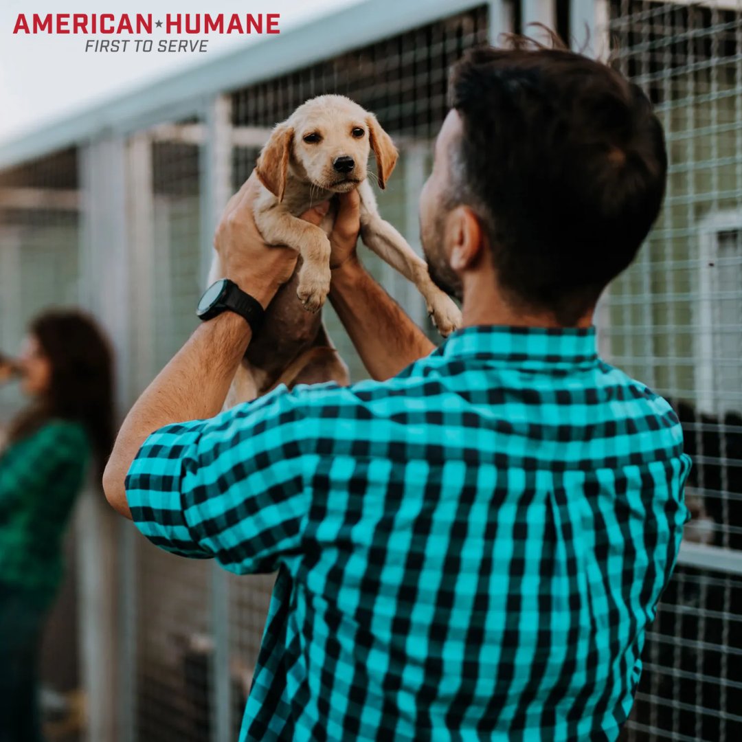 Are you ready to own a pet? Caring for an animal requires lots of time, effort, and planning. Before taking the plunge, check out this article which lists 10 important questions to ask yourself before adopting a pet. nbcnews.to/447acwf