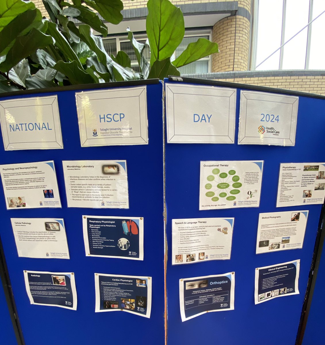 Tallaght University Hospital SLT Dept (@tuh_slt) on Twitter photo How well do we think? 🧐
Holly and Niamh, in collaboration with <a href="/TUH_Psychology/">TUH Psychology</a>, activating <a href="/TUH_Tallaght/">Tallaght University Hospital (TUH)</a> brains this lunchtime as part of #HSCPDay2024 #cognition #workinginpartnership How well do we think? 🧐
Holly and Niamh, in collaboration with <a href="/TUH_Psychology/">TUH Psychology</a>, activating <a href="/TUH_Tallaght/">Tallaght University Hospital (TUH)</a> brains this lunchtime as part of #HSCPDay2024 #cognition #workinginpartnership
